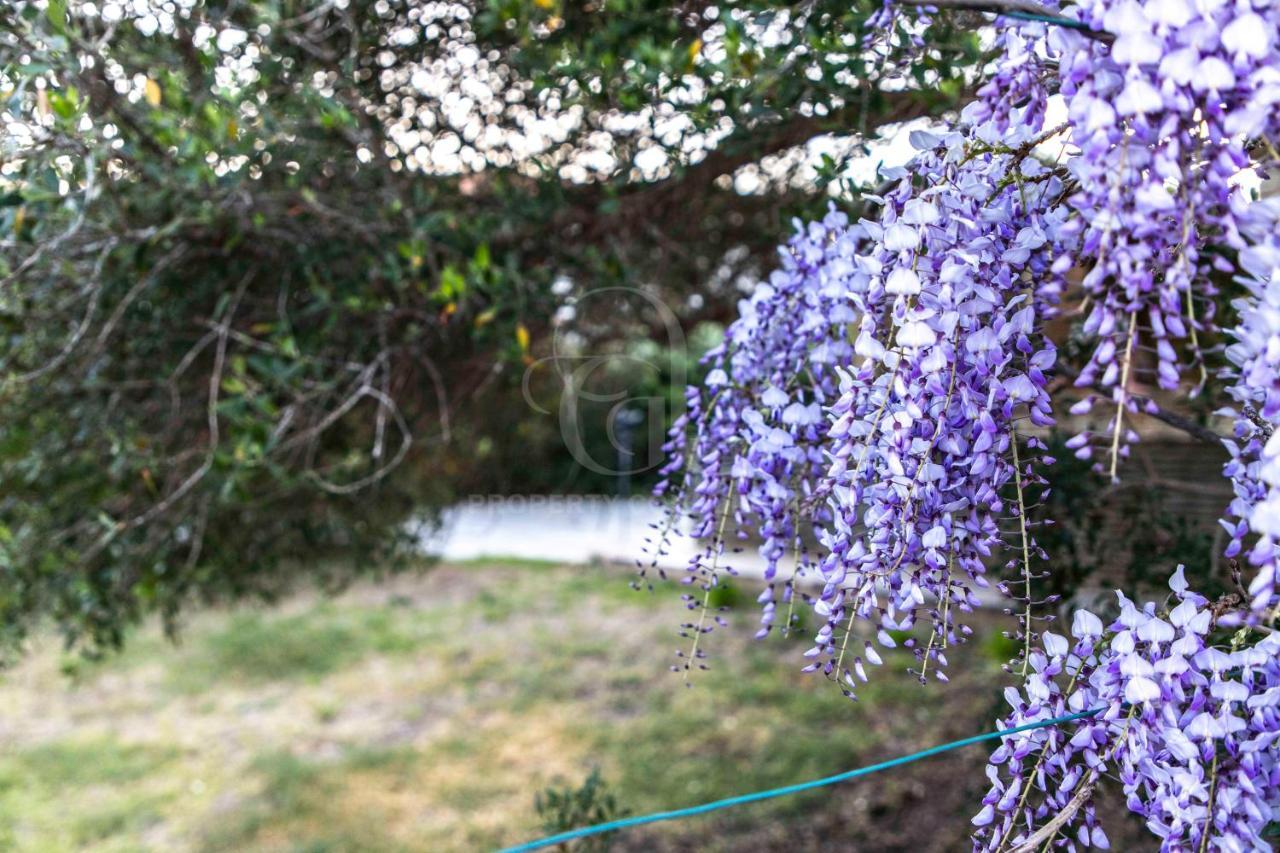 Il Glicine Cala Lupo Appartement Stintino Buitenkant foto